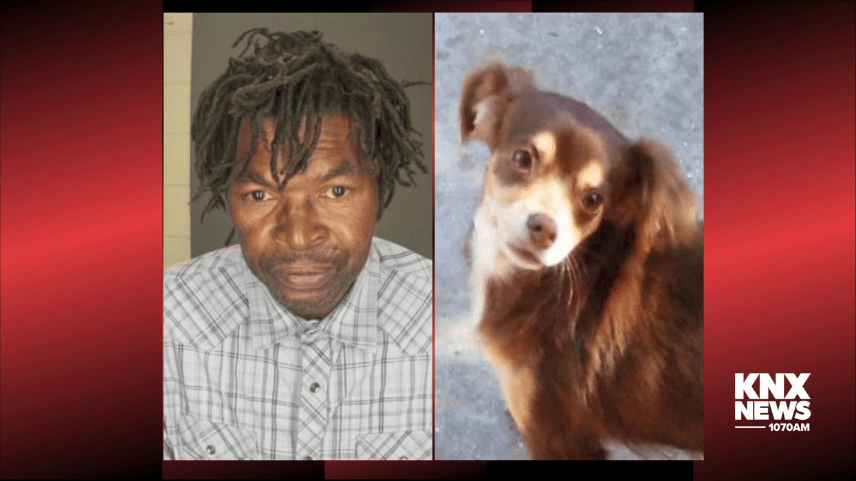 Rialto man brutally beat estranged wife's dog to death, police say