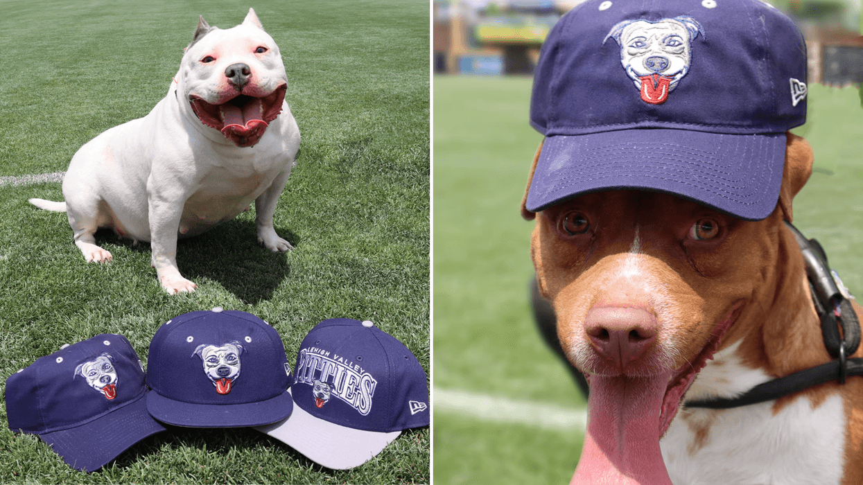 Lehigh Valley IronPigs temporarily named ‘Pitties’ to raise awareness for area dog shelters