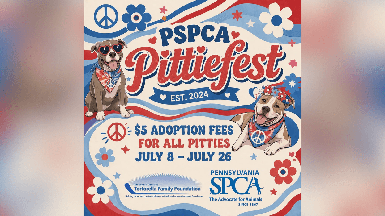 PSPCA Pittiefest
