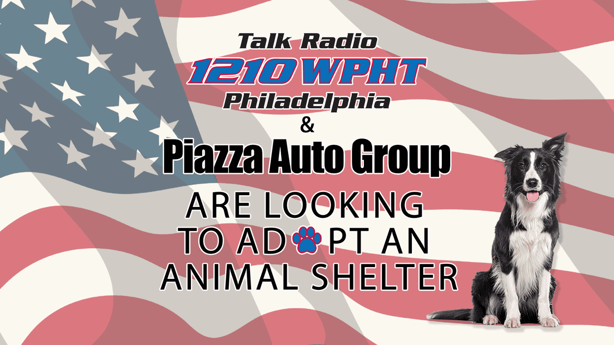 Talk Radio 1210 WPHT & Piazza Auto Group Are Looking to Adopt a Shelter
