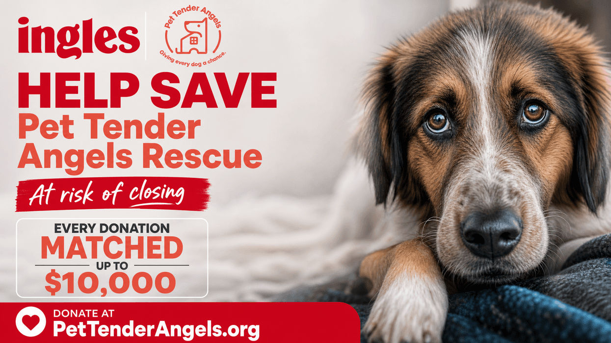 Support Pet Tender Angels Rescue & Rehabilitation