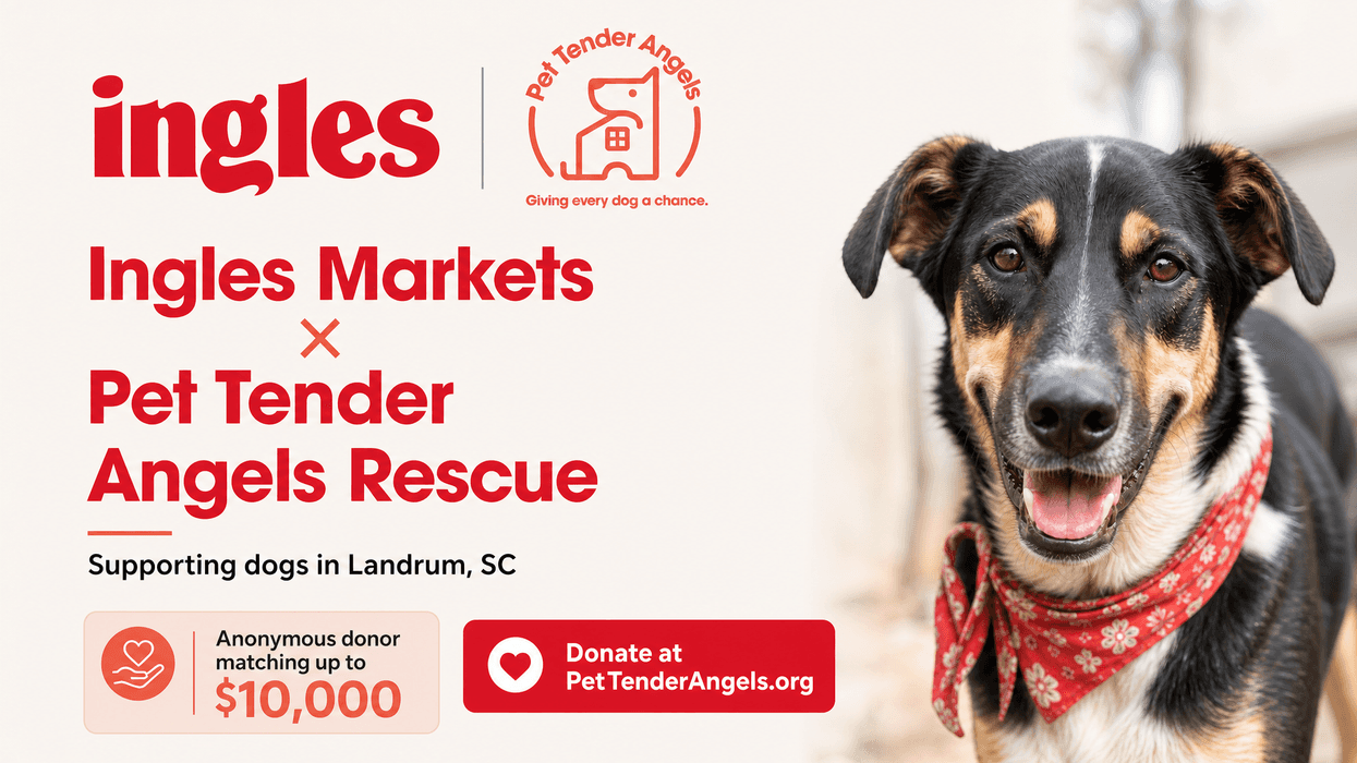 Support Pet Tender Angels Rescue & Rehabilitation