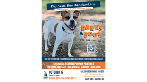 Barks &
 Boos! ​