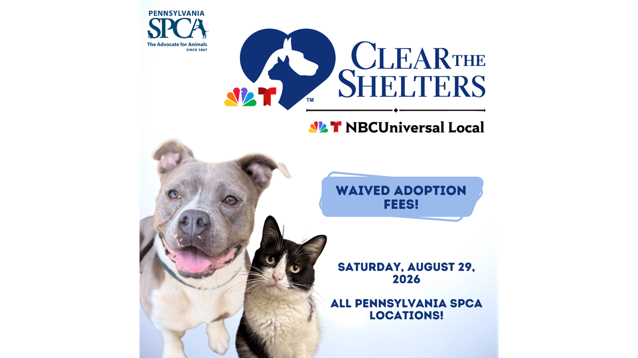 PSPCA Clear The Shelters