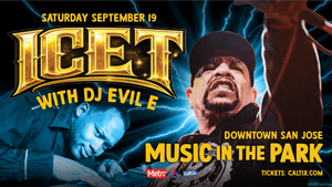 Ice T: Music in the Park