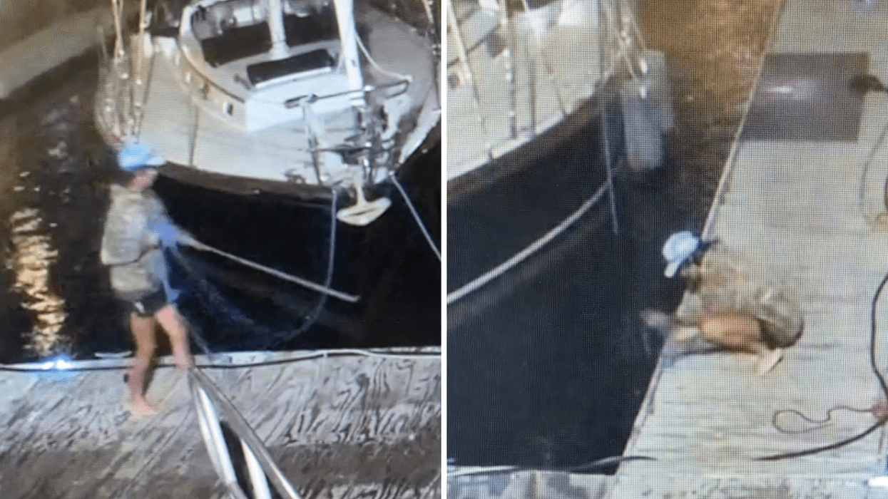 Brazen boat burglar steals 40-foot yacht from Jersey City marina, police say