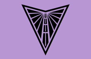 Valkyries Fan Appreciation Night