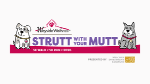 Strutt with your Mutt!
