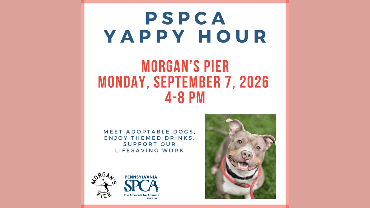 PSPCA Yappy Hour at Morgan's Pier