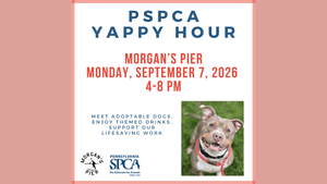 PSPCA Yappy Hour at Morgan's Pier