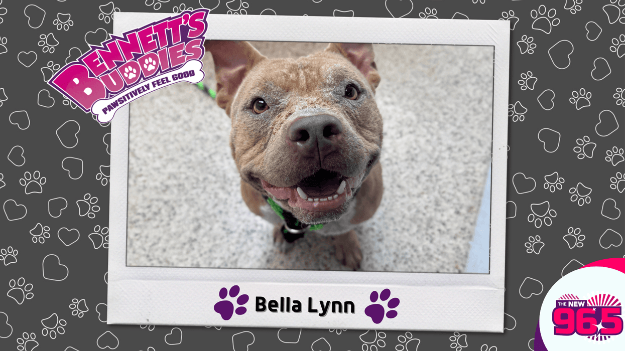 Meet Bella Lynn! Bennett's Buddies at the PSPCA