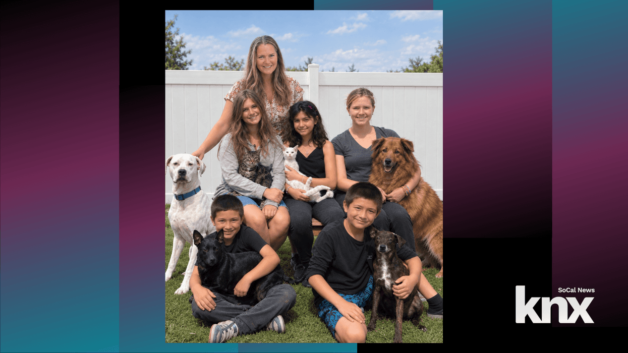 KNX Heroes of the Week helping adoptable animals find their forever homes