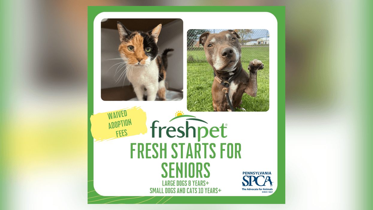 PSPCA Freshpet Fresh Starts For Seniors