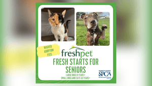 PSPCA Freshpet Fresh Starts For Seniors