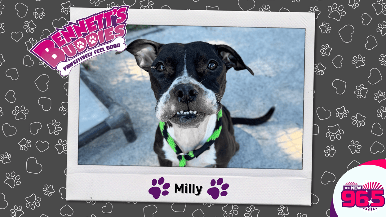 Meet Milly! Bennett's Buddies at the PSPCA