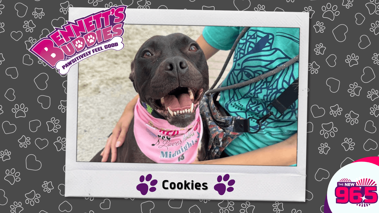 Meet Cookies! Bennett's Buddies at the PSPCA