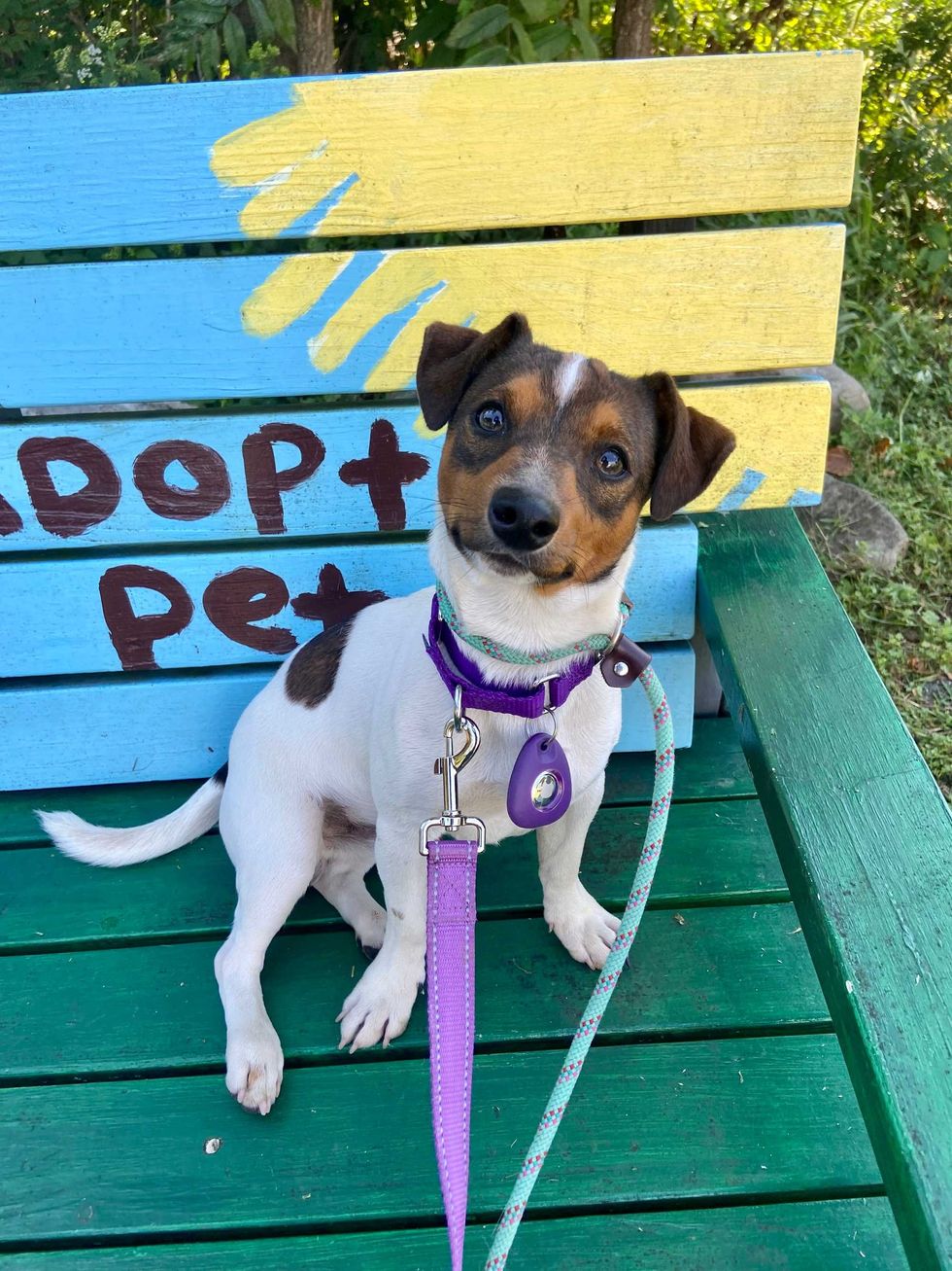 image2 08235d0d 645f 41b1 8820 2acd3ea4faad