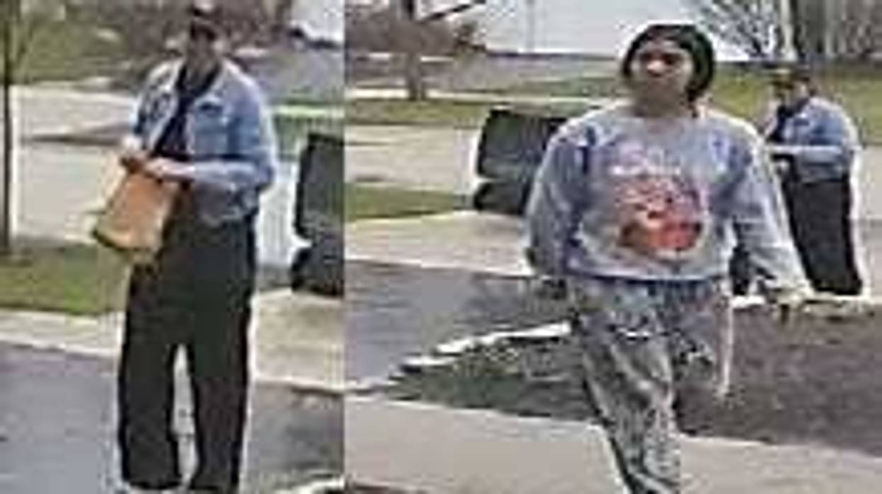 Images from surveillance video of porch pirates