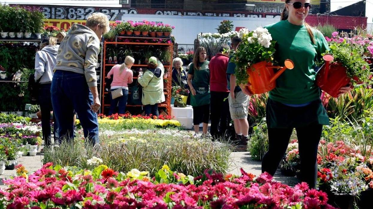 Images of Detroit are deeply rooted within the automotive industry; it's a working class city known for sparks, steel and grit, but in a historic corner of the city, colorful petals, vivid blooms and greenery make up an amazing transformation for Flower Day.