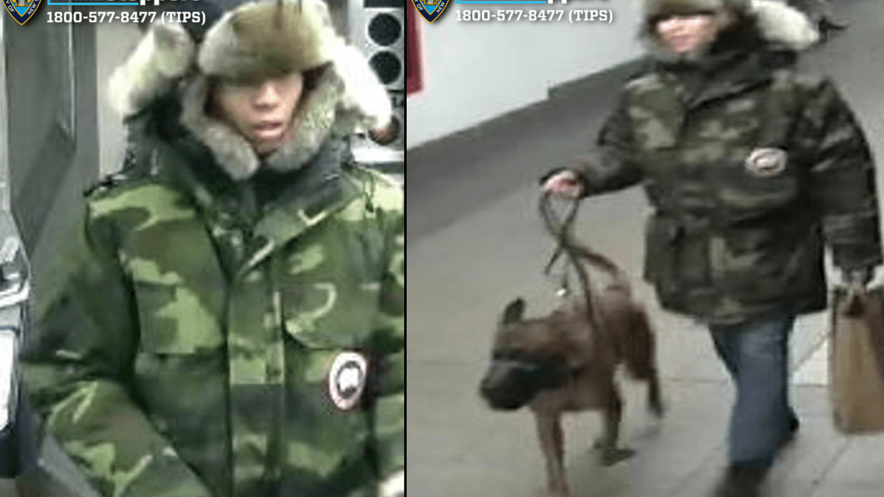 Images show the suspect—wearing camouflage and leading his dog through the station—around the time of the attack on Saturday evening