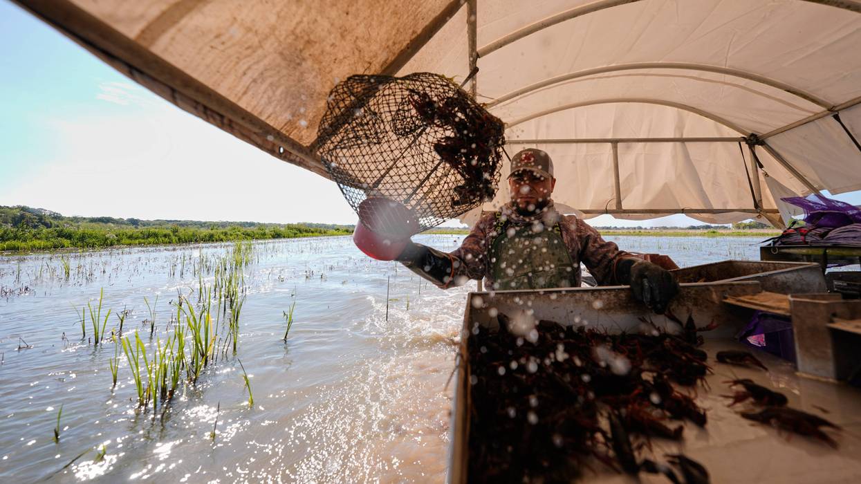 Immigration Guest Workers