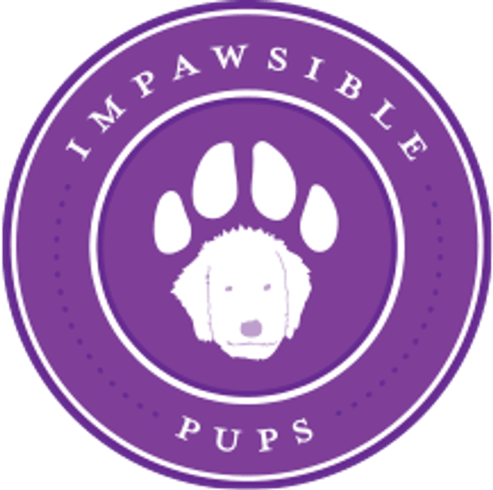 impawsible pups