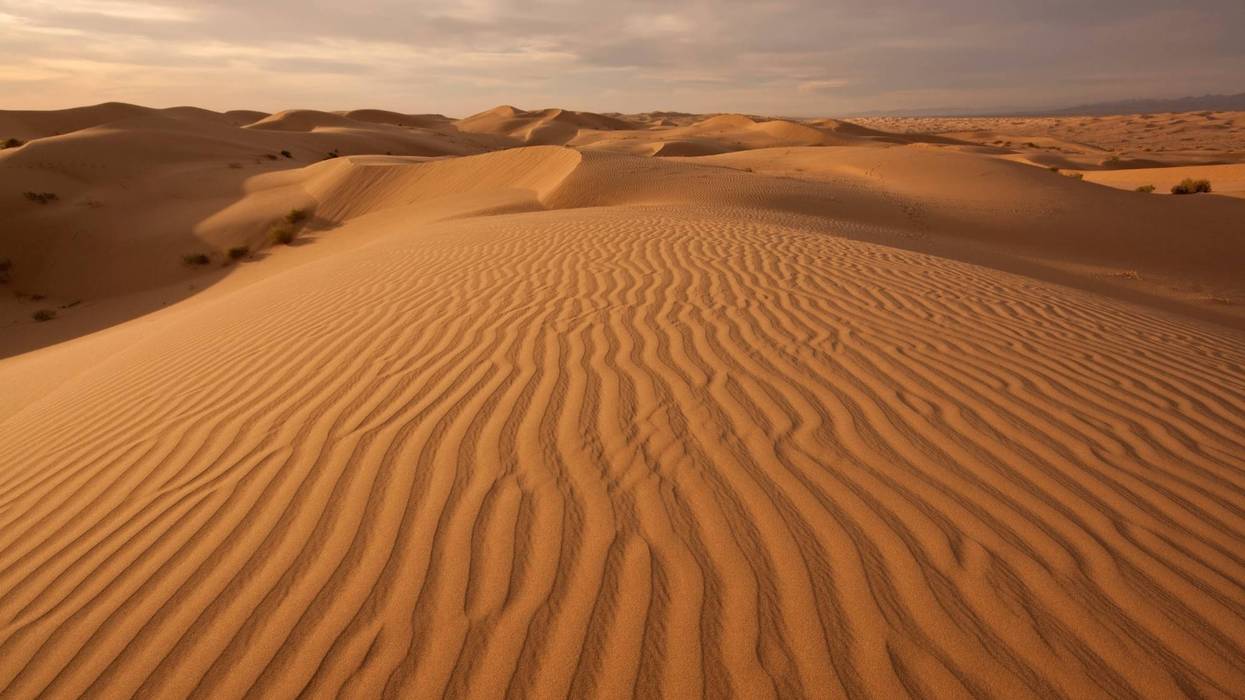 Imperial sand dunes