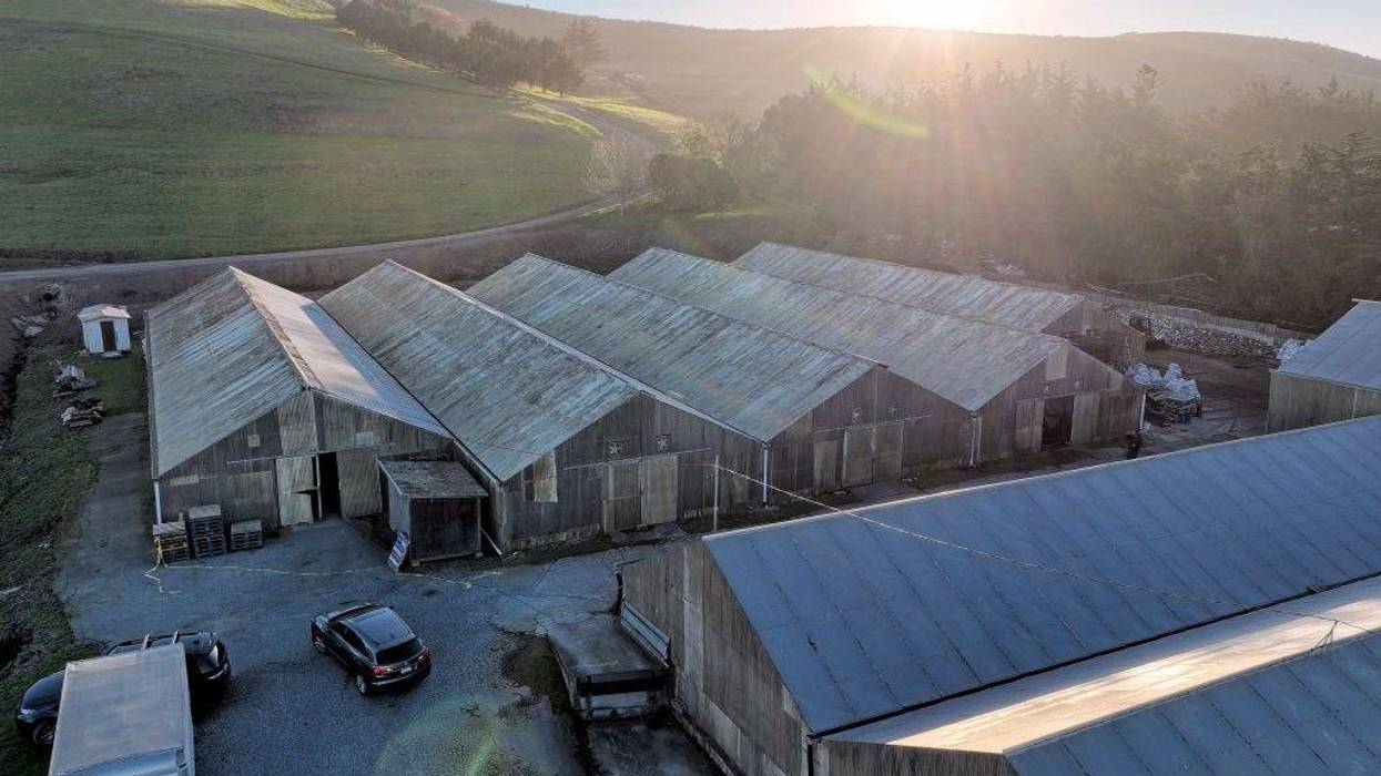 In an aerial view, greenhouses are seen at a farm where a mass shooting occurred on January 24, 2023 in Half Moon Bay, California.