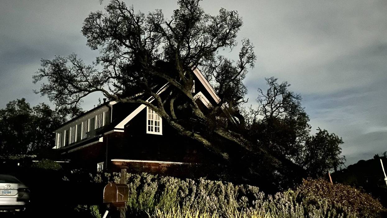 In San Anselmo, a large downed tree damaged a home when it crashed through the second story bathroom and broke the deck.