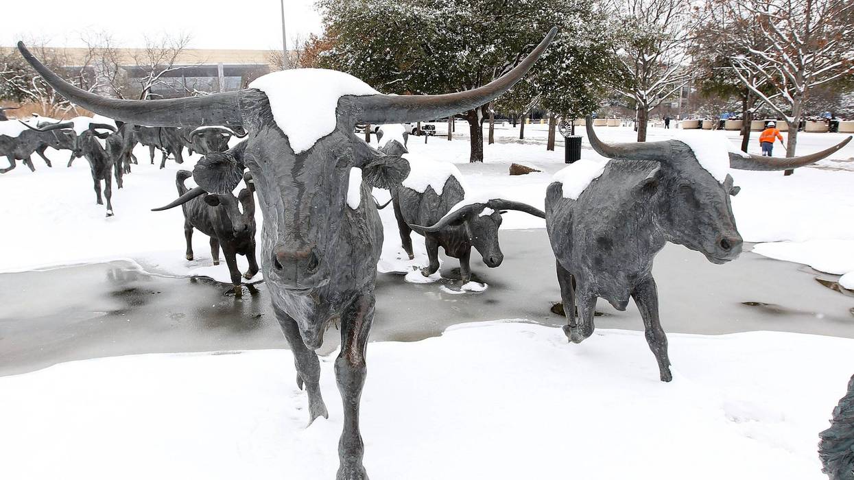 In the Kalshi “Dallas snowfall monthly” market, traders are wagering on thresholds of accumulation that will ultimately be determined by official reports from the National Weather Service once January ends.