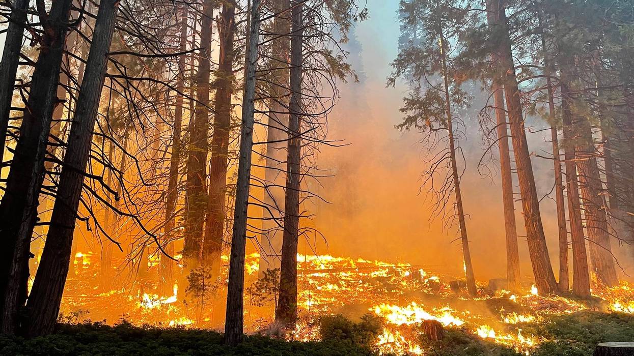 In this handout photo provided by the National Park Service, firefighters conduct early morning backfiring operations near the South Entrance on July 11, 2022 in Yosemite National Park, California