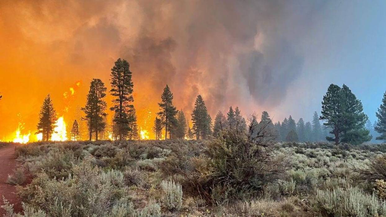 In this handout provided by the USDA Forest Service, the Bootleg Fire burns on July 12, 2021 in Bly, Oregon.