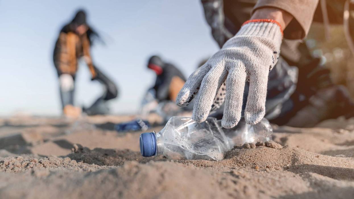 In two hours of work, more than 600 volunteers with Surfrider Foundation San Diego's annual post-Fourth of July "Morning After" beach cleanup removed 1,457 pounds of trash from San Diego's beaches, the group said today.