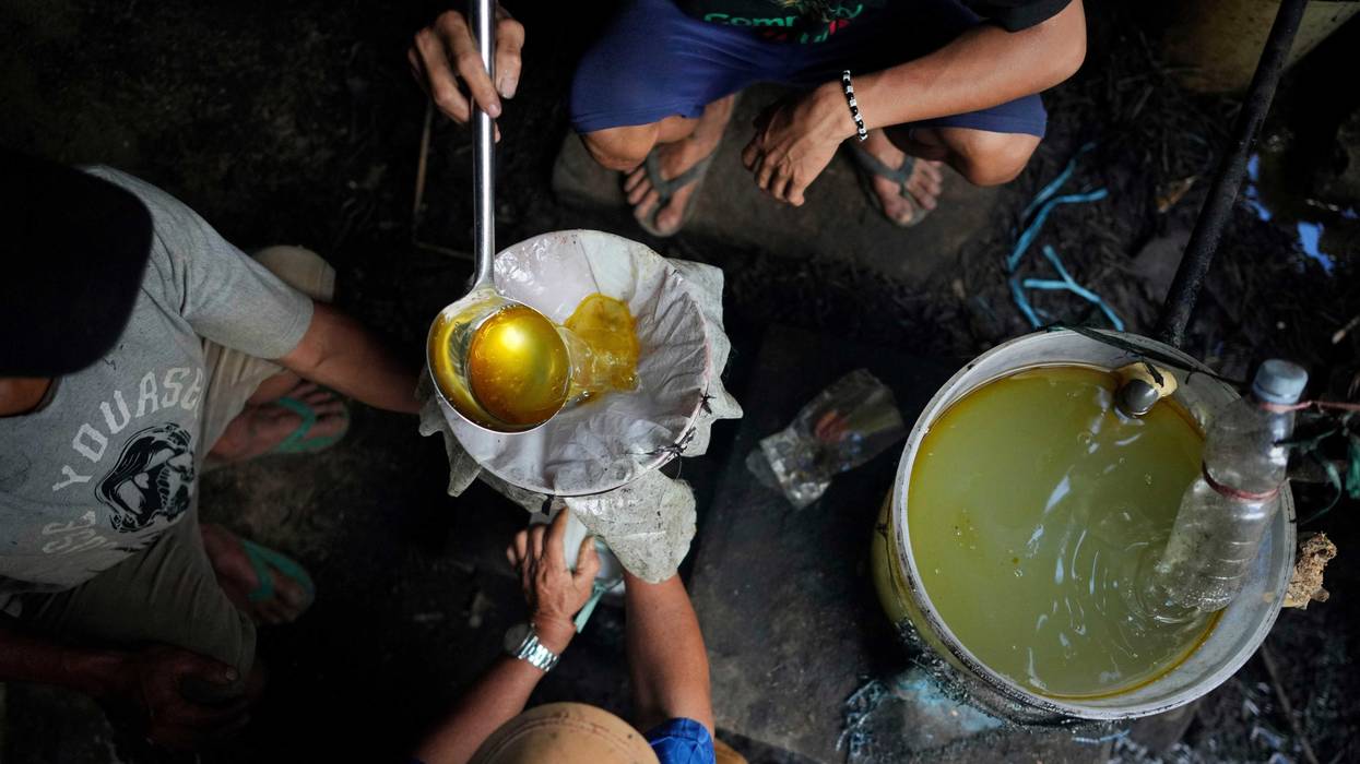 Indonesia Deforestation Patchouli Oil