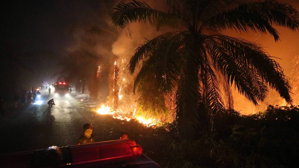 INDONESIA-INCENDIOS FORESTALES