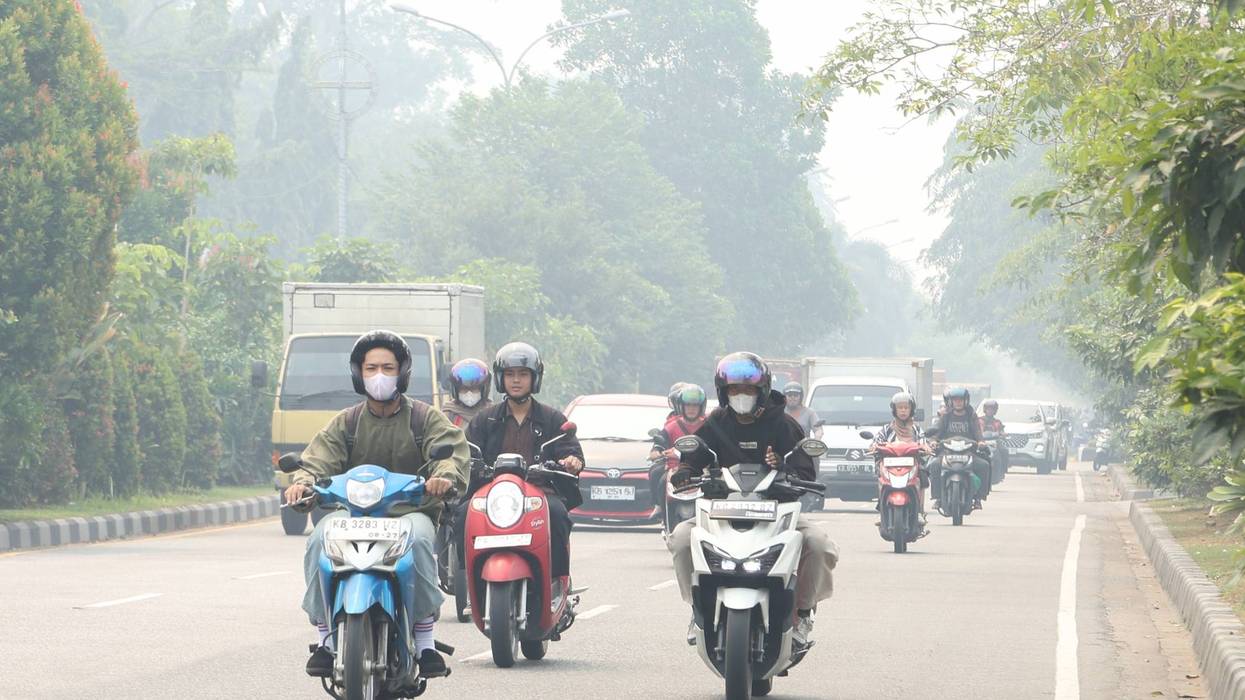 INDONESIA NEBLINA 22