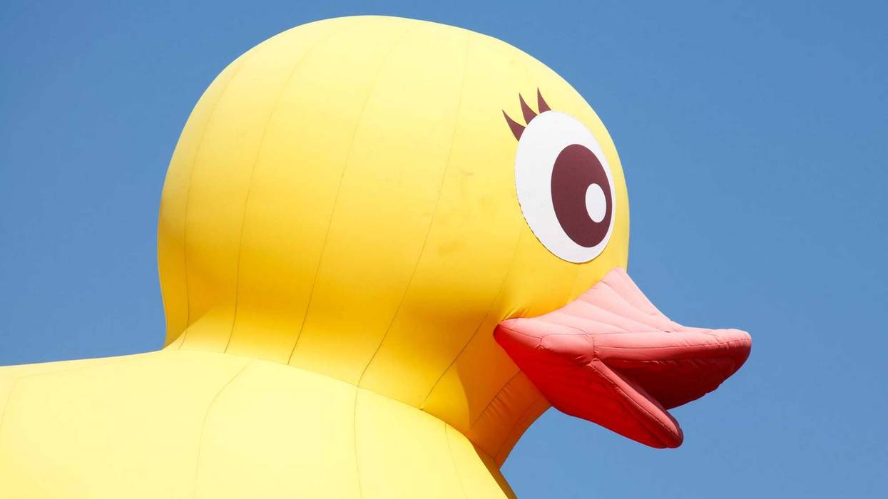 inflatable duck
