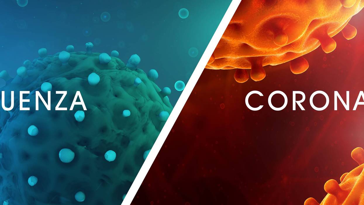 Influenza vs. COVID-19