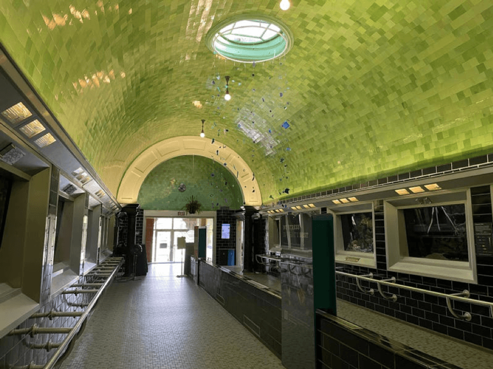 Inside the Belle Isle Aquarium