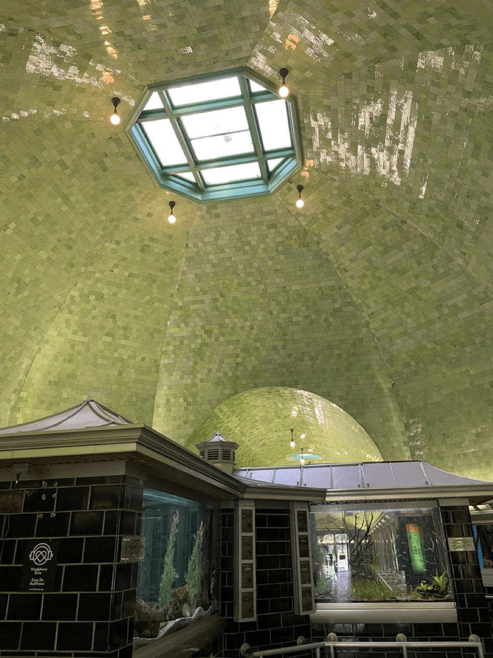 Inside the Belle Isle Aquarium