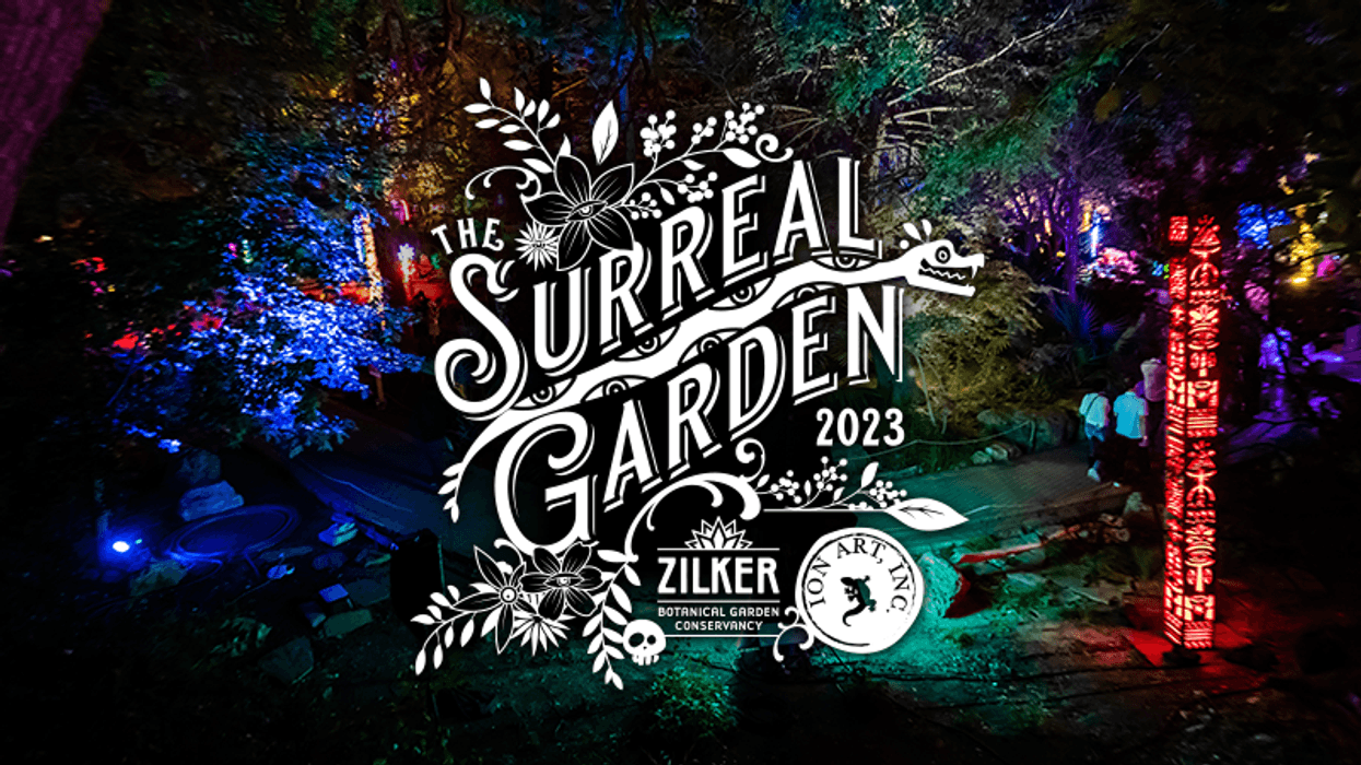 Ion Art SRG 2023 / ZBGC