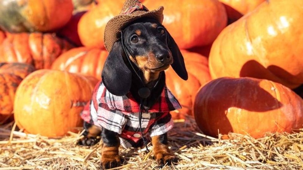 Ирина Мещерякова GettyImages-