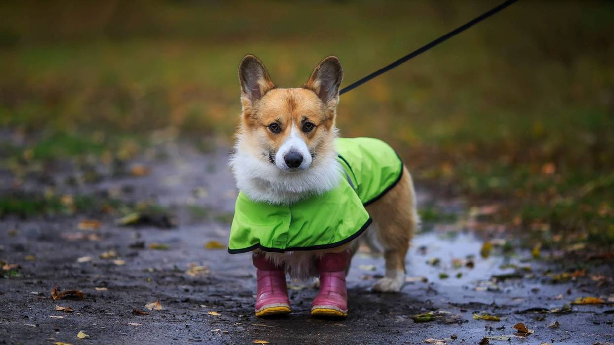 It is a chilly and gray Sunday