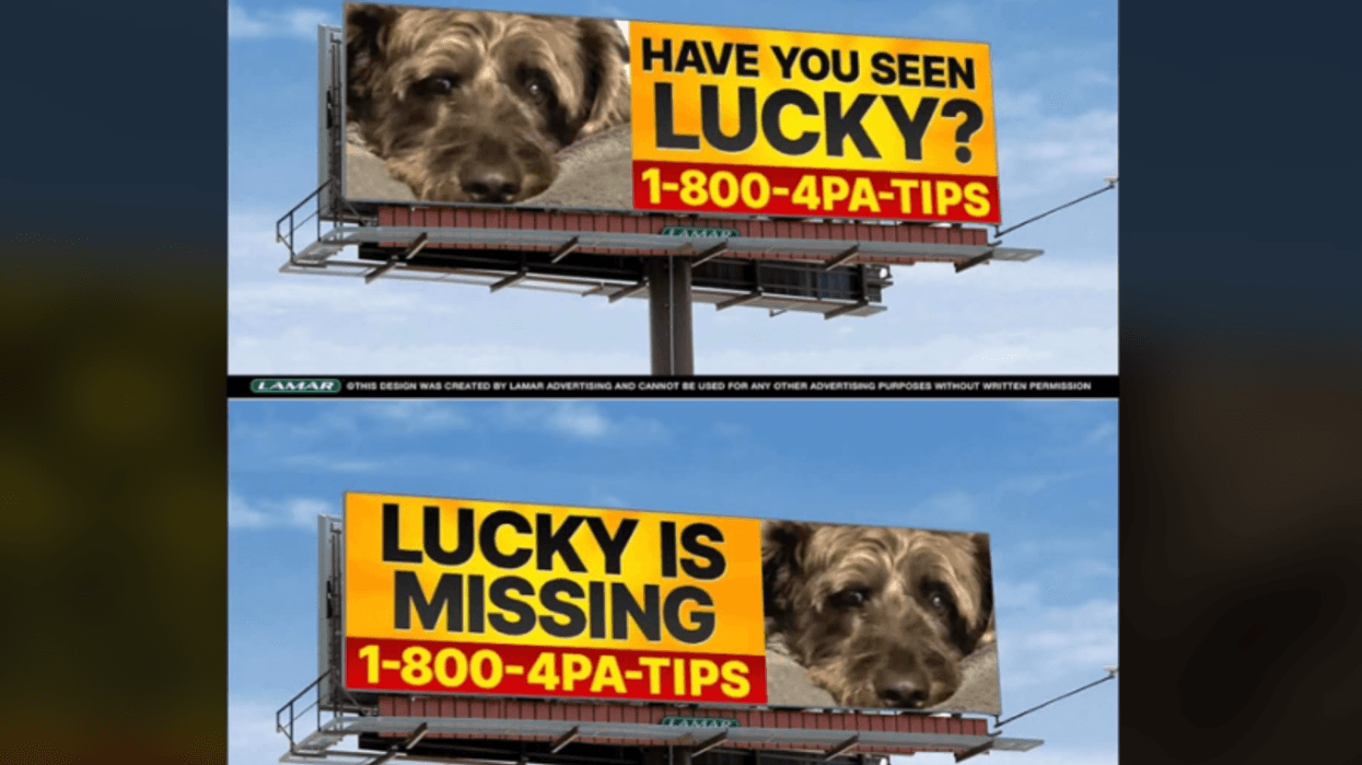 2 years since Lucky the dog was taken during a carjacking