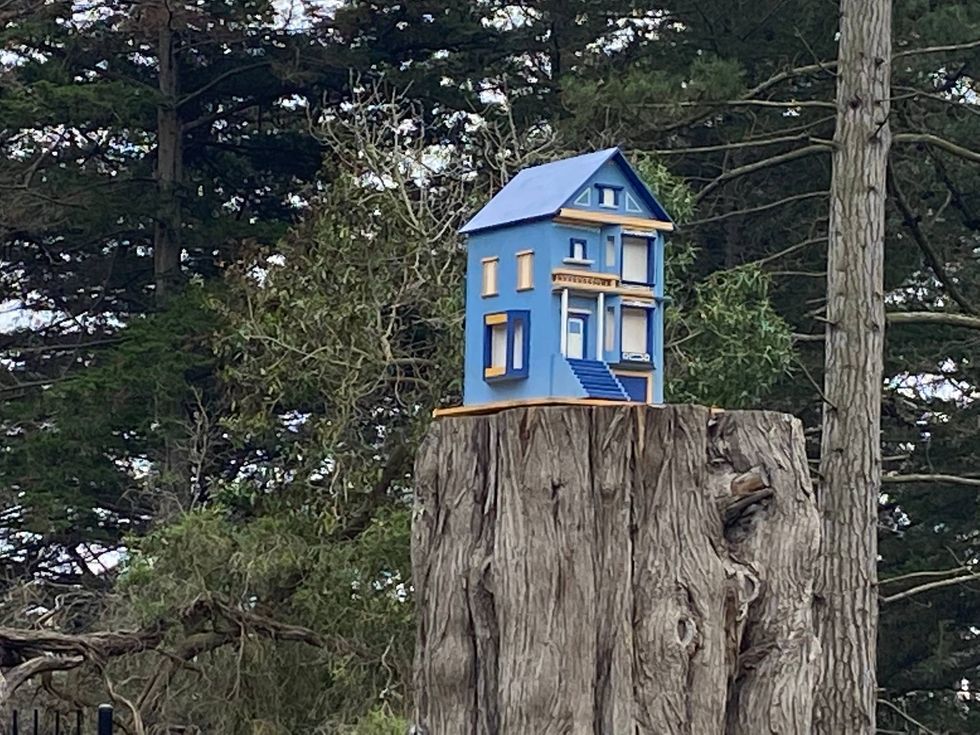 It sits atop a tree stump.