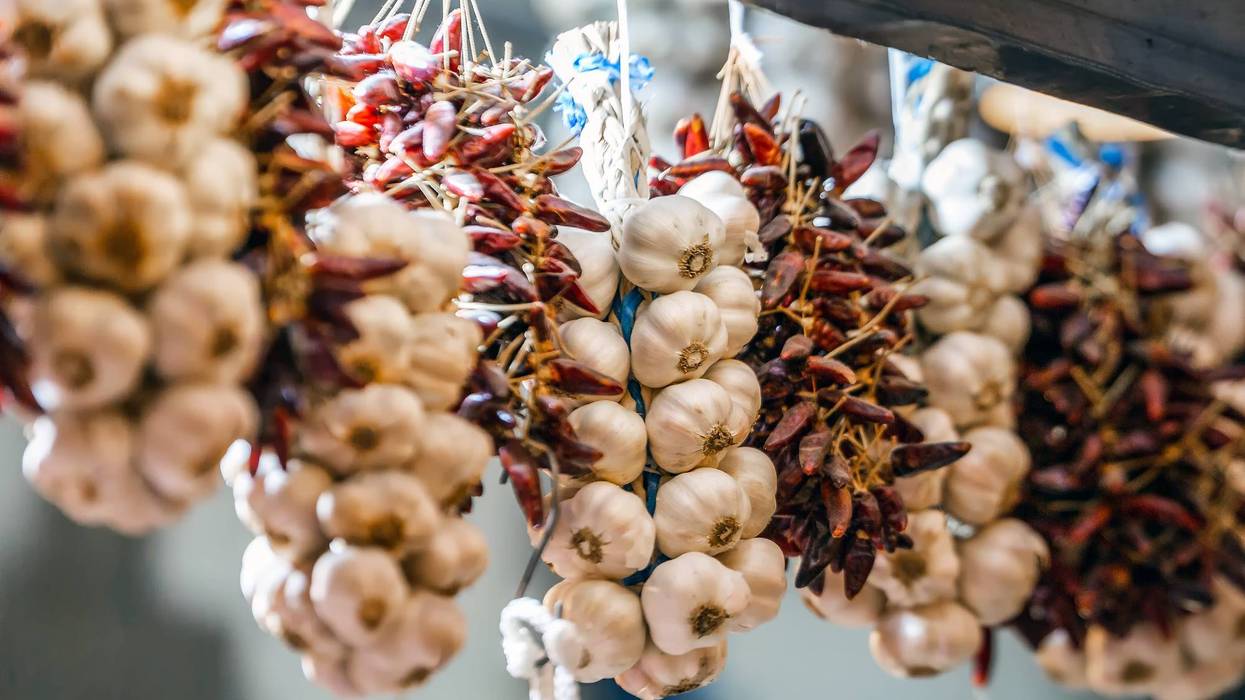It started to smell a lot like garlic in Gilroy on Friday, as the Gilroy Garlic Festival kicked off the first day of its two-weekend event.