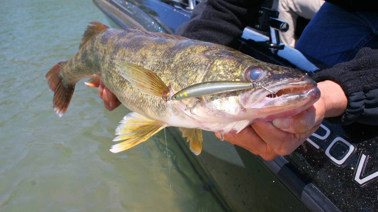 It was a fishing tale was too good to be true for two anglers in Ohio who eventually fessed up on Monday to rigging a 2021 walleye fishing tournament to ensure they pocketed a $28,000 cash prize.