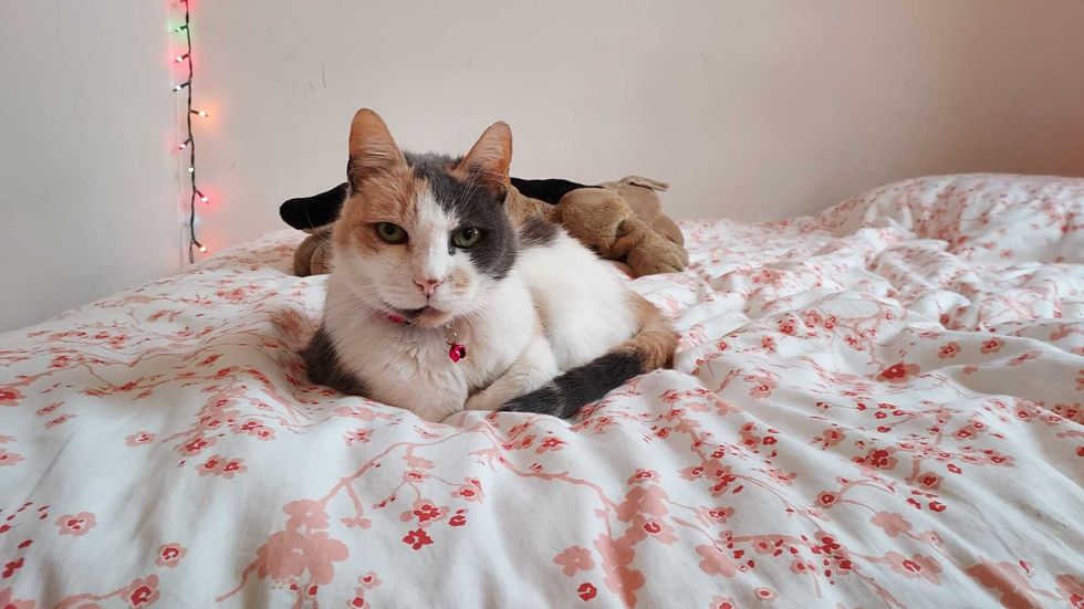 Jackie chilling in her new home!