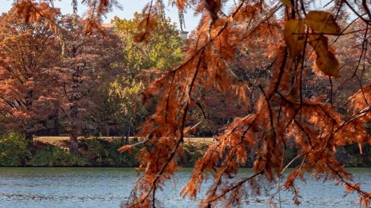 Jaclyne Ortiz / Getty Images