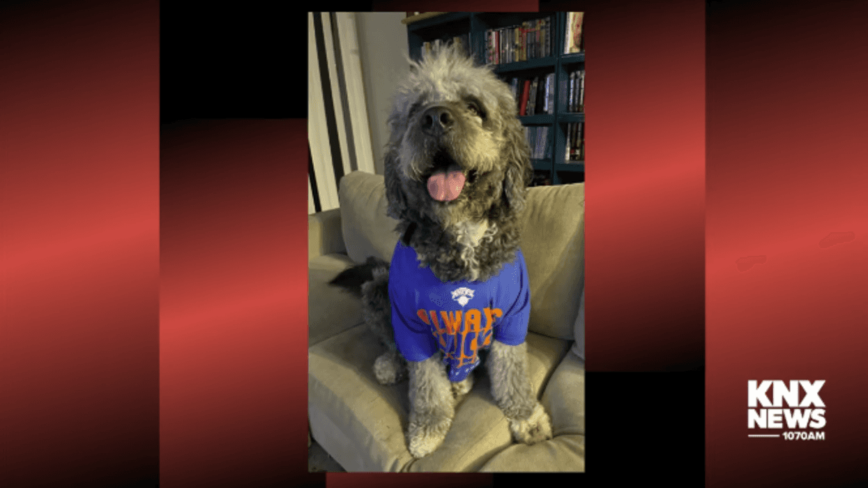 Owner of dog fatally shot by officer suing LAPD